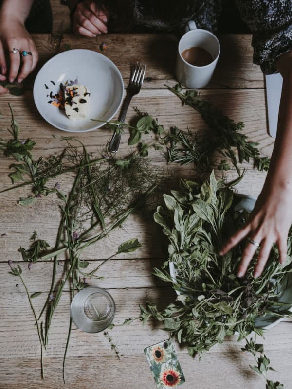 Plant Medicine